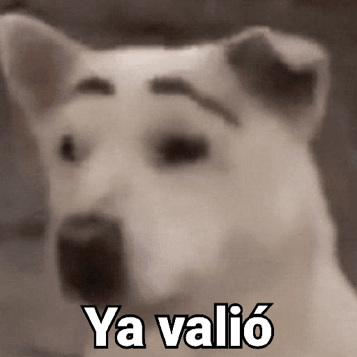 Waos - Perro con cejas🐶 
