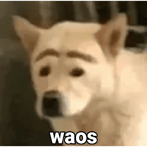 Waos - Perro con cejas🐶 
