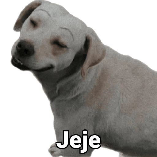 Waos - Perro con cejas🐶 
