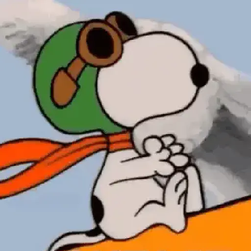 Snoopy Show🐶🤍✨ 
