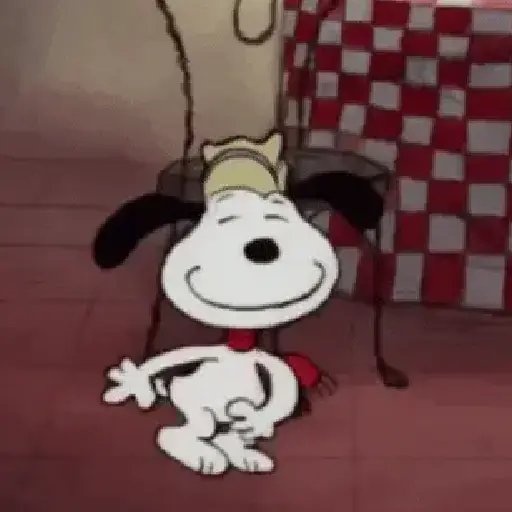 Snoopy Show🐶🤍✨ 
