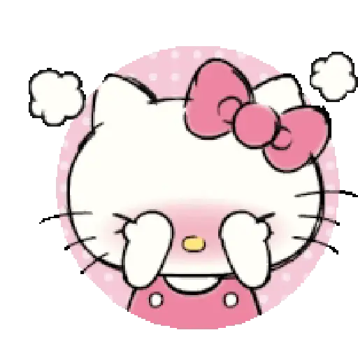 Hello Kitty 😻🤍