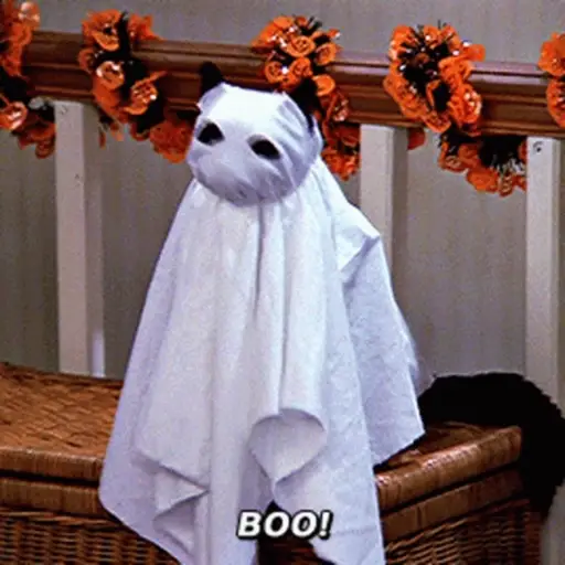 Halloween 🎃 
