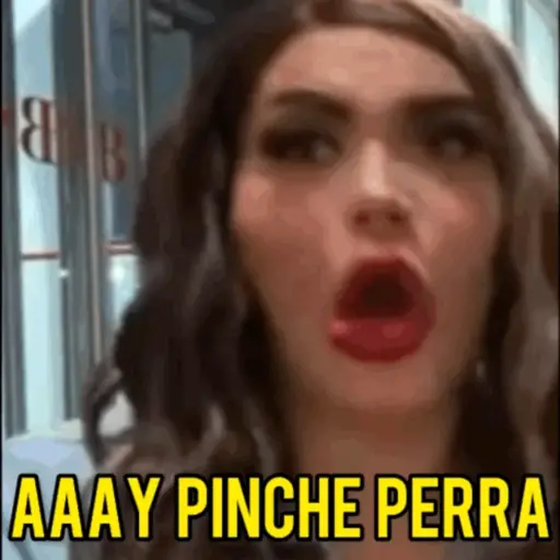 Perdidas y Las de Apelo  
 preview