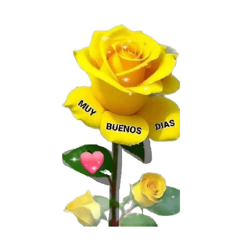 Flores amarillas 🌼🌻 
