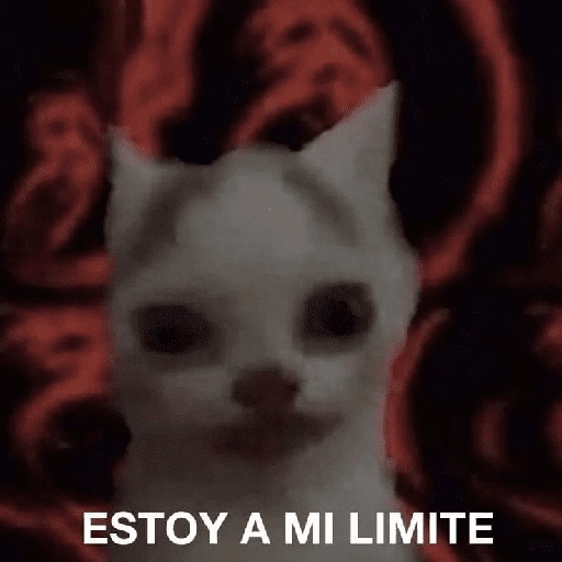 pichula tímida 😔 
