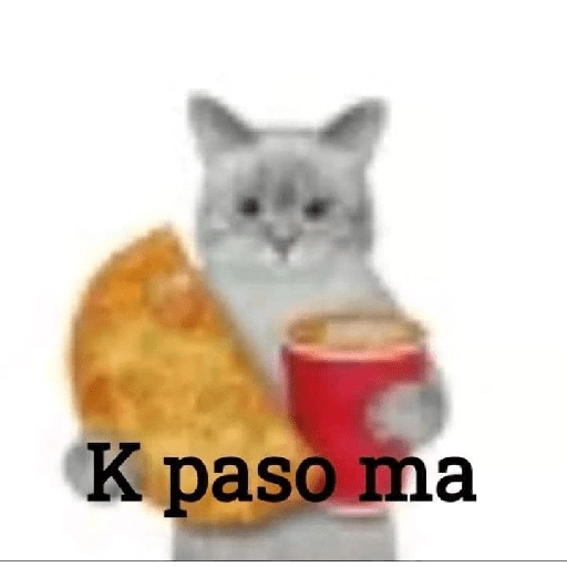 pichula tímida 😔 
