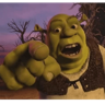 memes dreamworks 
