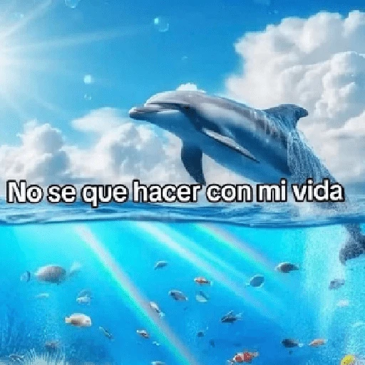 DELFINES UNICORNIO TREND 
