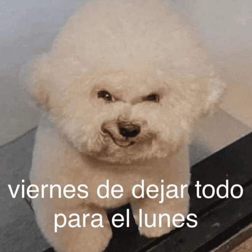 Animalitos para el chat💕 

