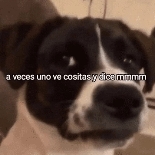 Animalitos para el chat💕 
