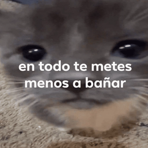 Animalitos para el chat💕 
