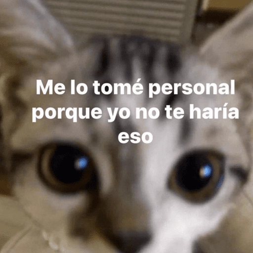 Animalitos para el chat💕 
