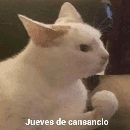 Animalitos para el chat💕 
