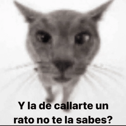 Animalitos para el chat💕 
