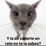 Animalitos para el chat💕 
