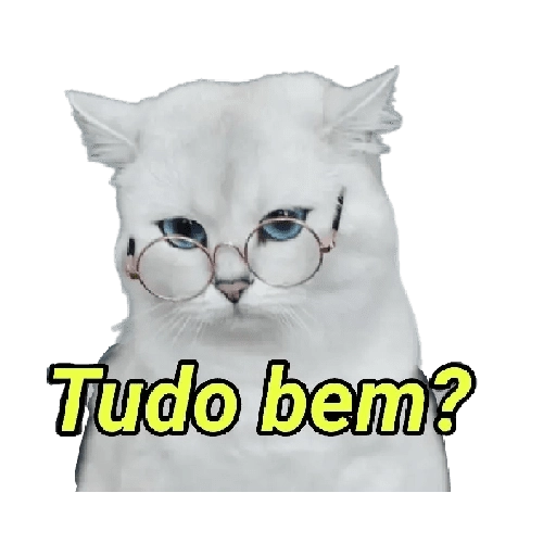 Michis memes 😹😼 
