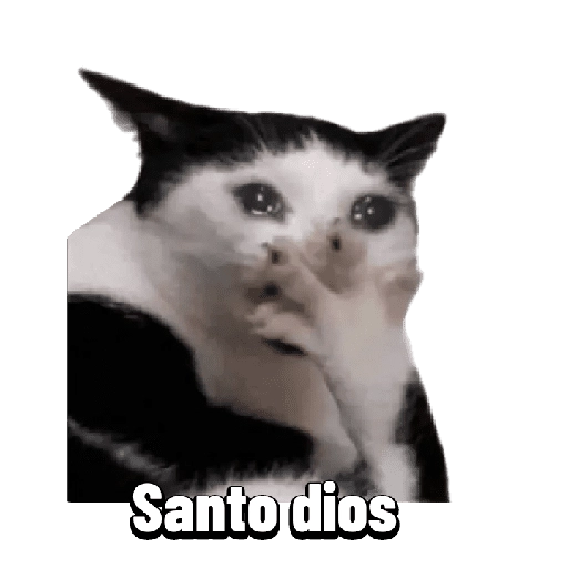 Michis memes 😹😼 
