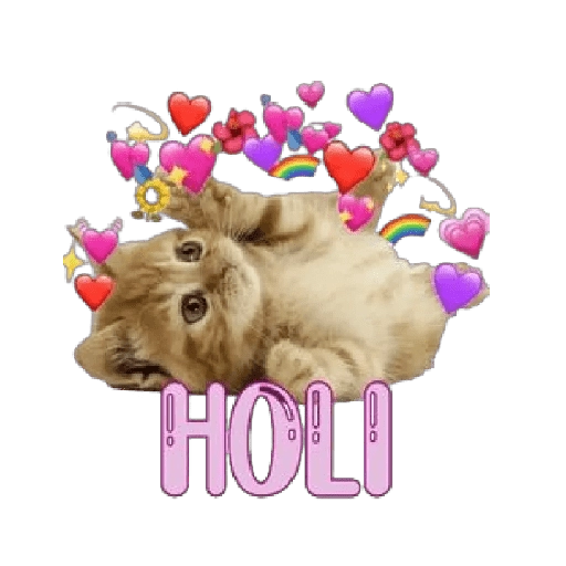 Michis memes 😹😼 
