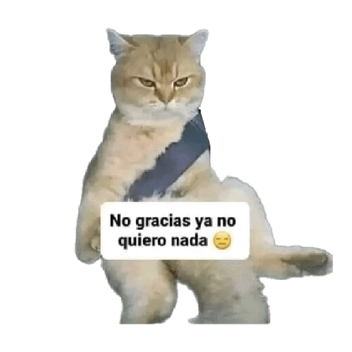 Michis memes 😹😼 
