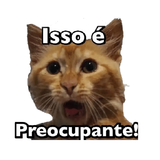 Michis memes 😹😼 
