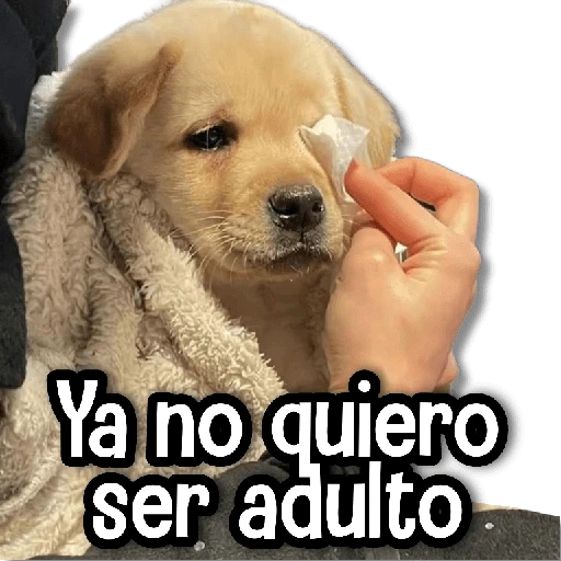 De todo un Poco #➏ 👻 
