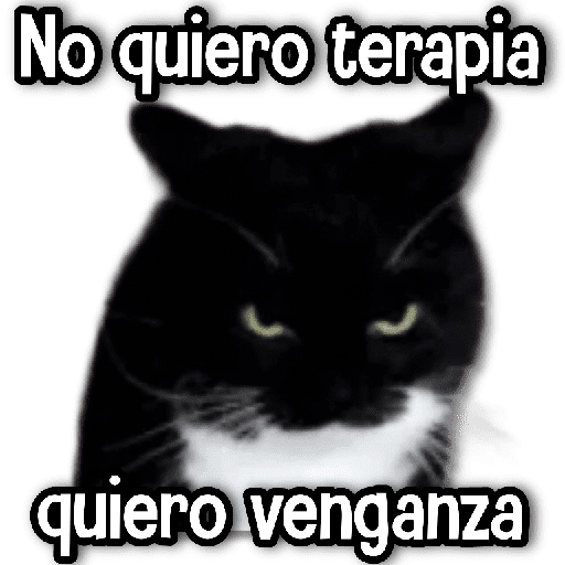 De todo un Poco #➏ 👻 
