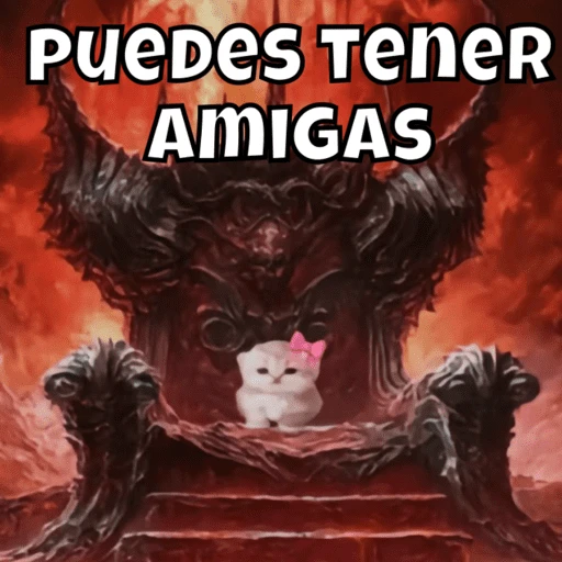 Gatito para responder🎀🔥