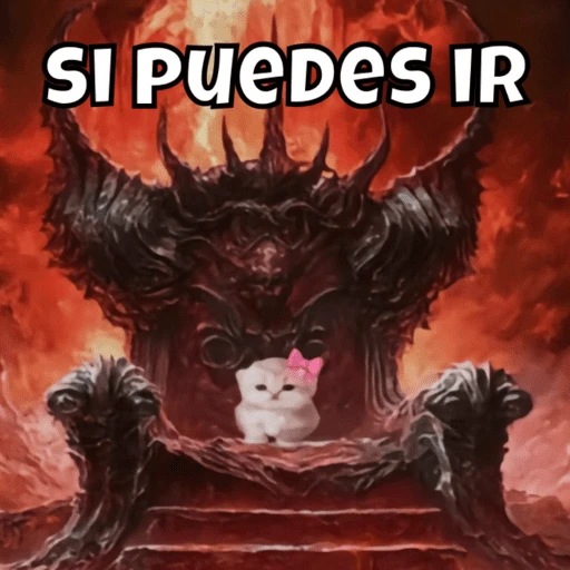 Gatito para responder🎀🔥