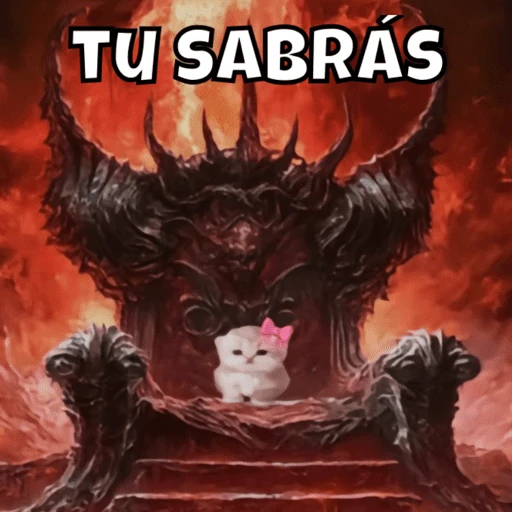 Gatito para responder🎀🔥