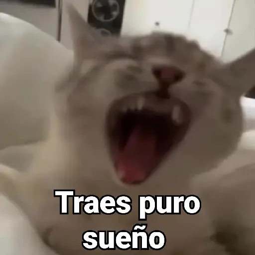 Gatitos Locos 2😼 
