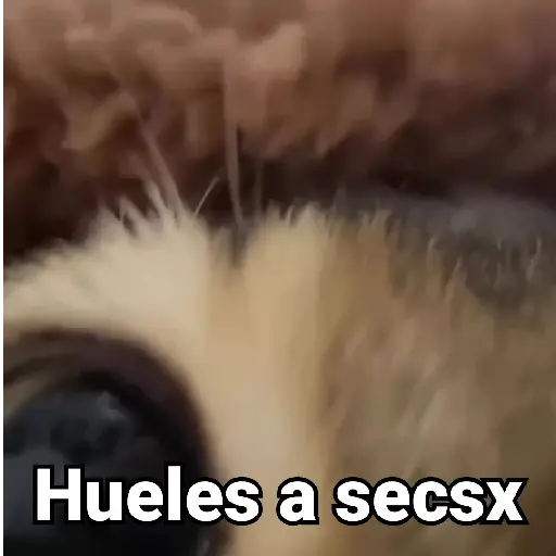 Gatitos Locos 2😼 
 preview