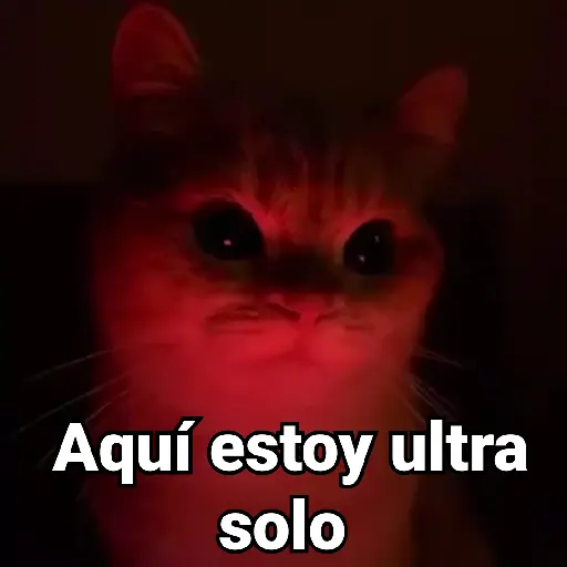 Gatitos Locos 2😼 
