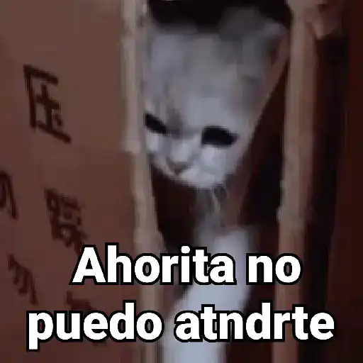 Gatitos Locos 2😼 
