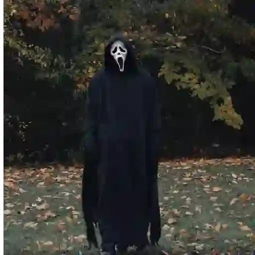 Halloween Tiktok☠️🕸️🎃 
