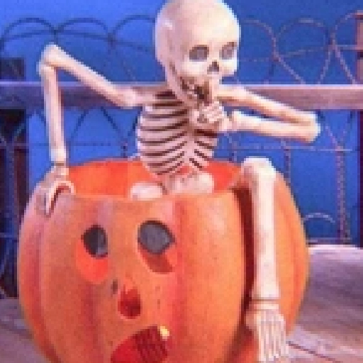 memes Halloween 🎃 😎 
