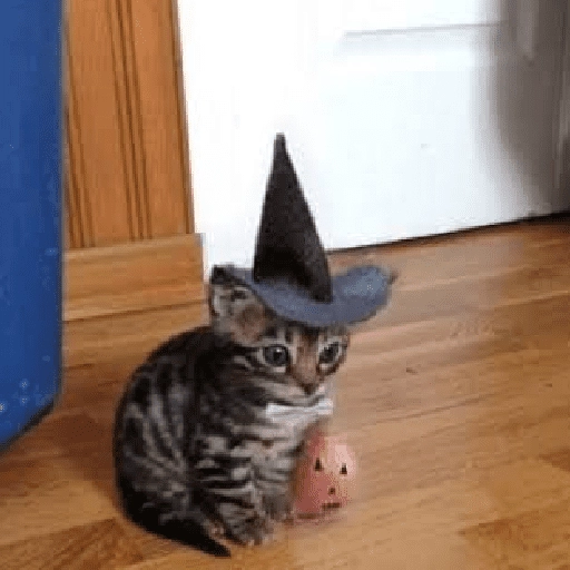 memes Halloween 🎃 😎 
