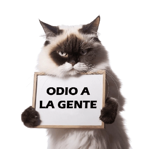 Michis Reacciones 2🐱✨ 
 preview