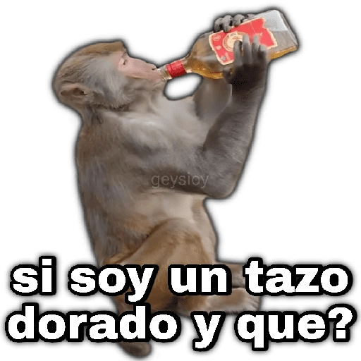 🚔 Tazos dorados 🚨 Memes 
