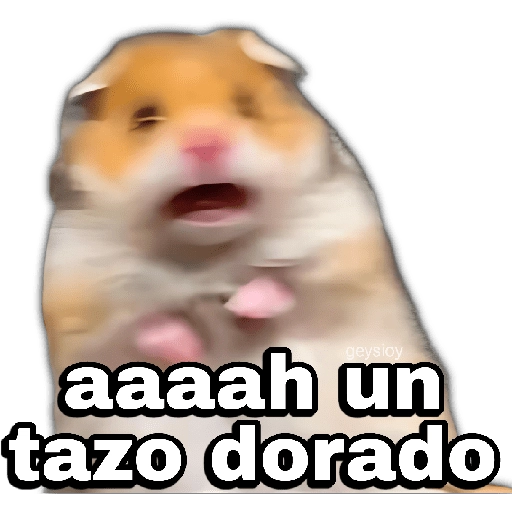 🚔 Tazos dorados 🚨 Memes 

