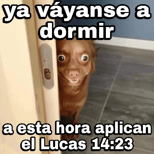 🚔 Tazos dorados 🚨 Memes 
