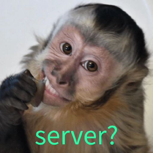 tia paola meme