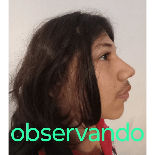 tia paola meme