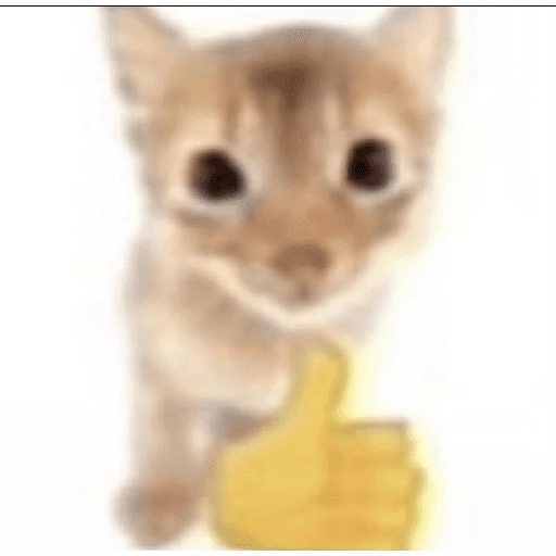 tia paola meme preview