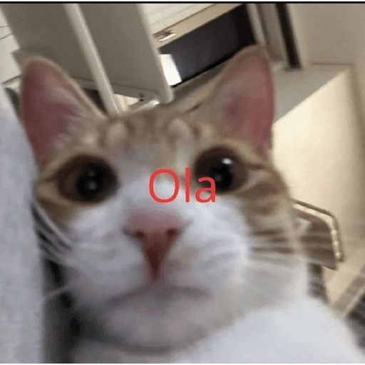 tia paola meme