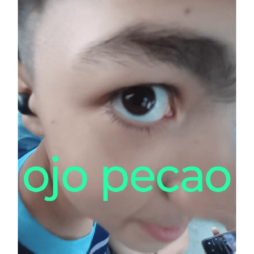 tia paola meme