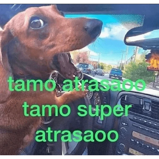 tia paola meme