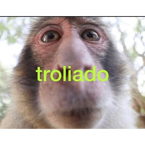 tia paola meme