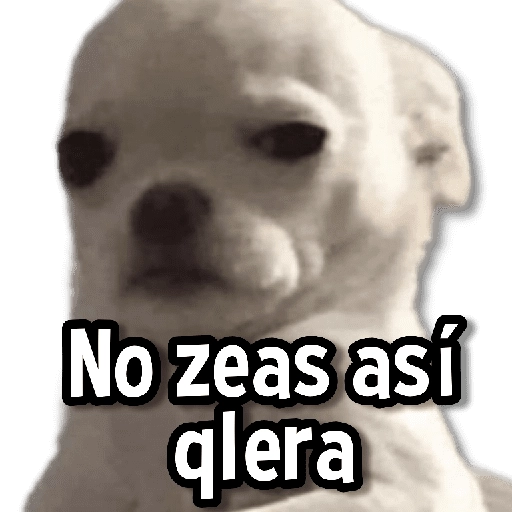 Memes Variaditos 5🫶🏻 
