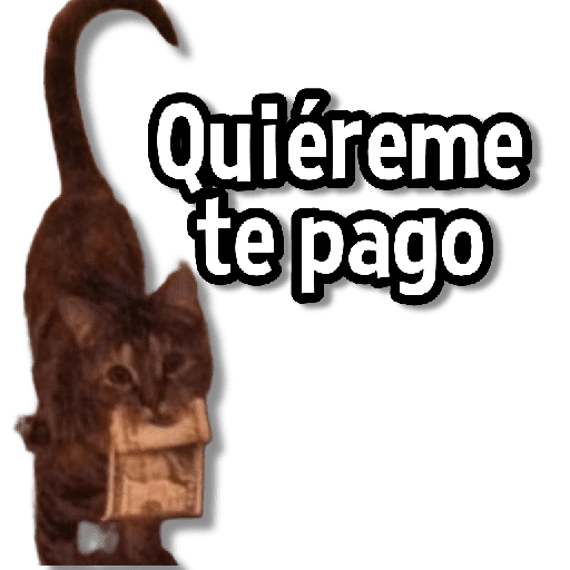 Memes Variaditos 5🫶🏻 
